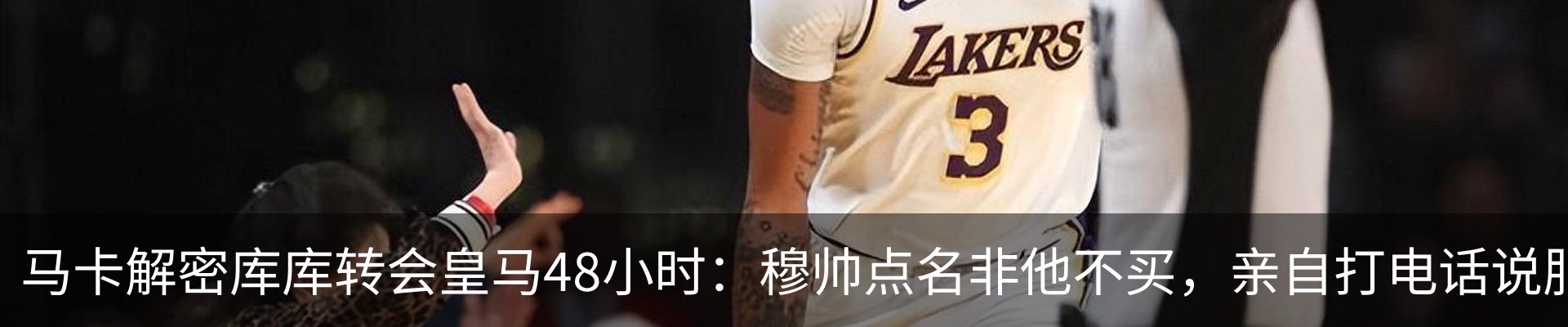新闻动态